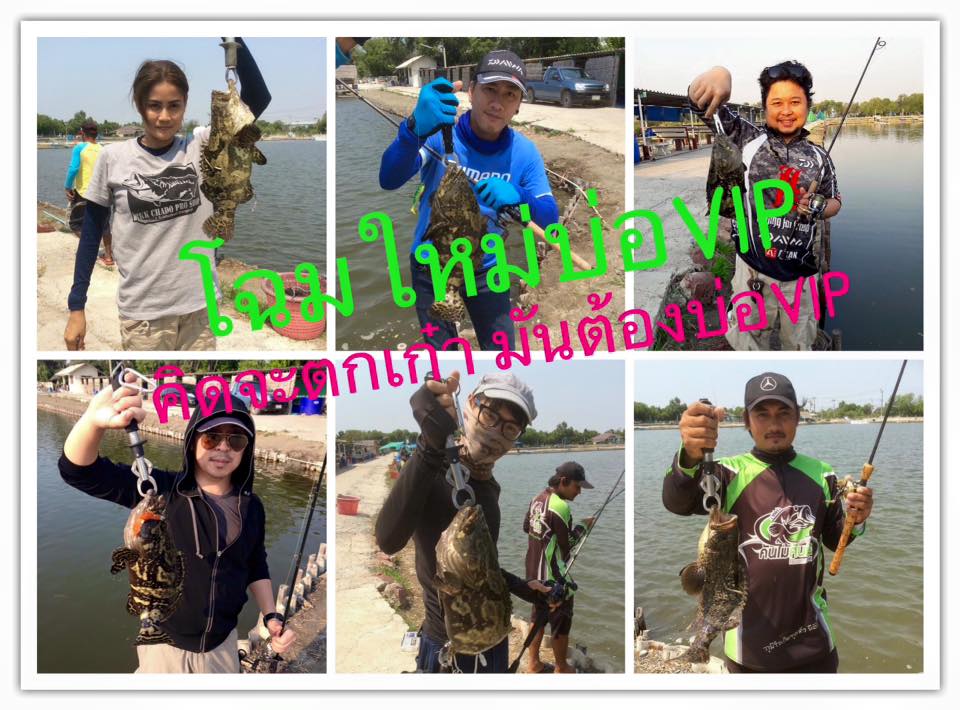 เก๋ามันโหดมาก เจอเก๋าได้ที่ VIP FISHING