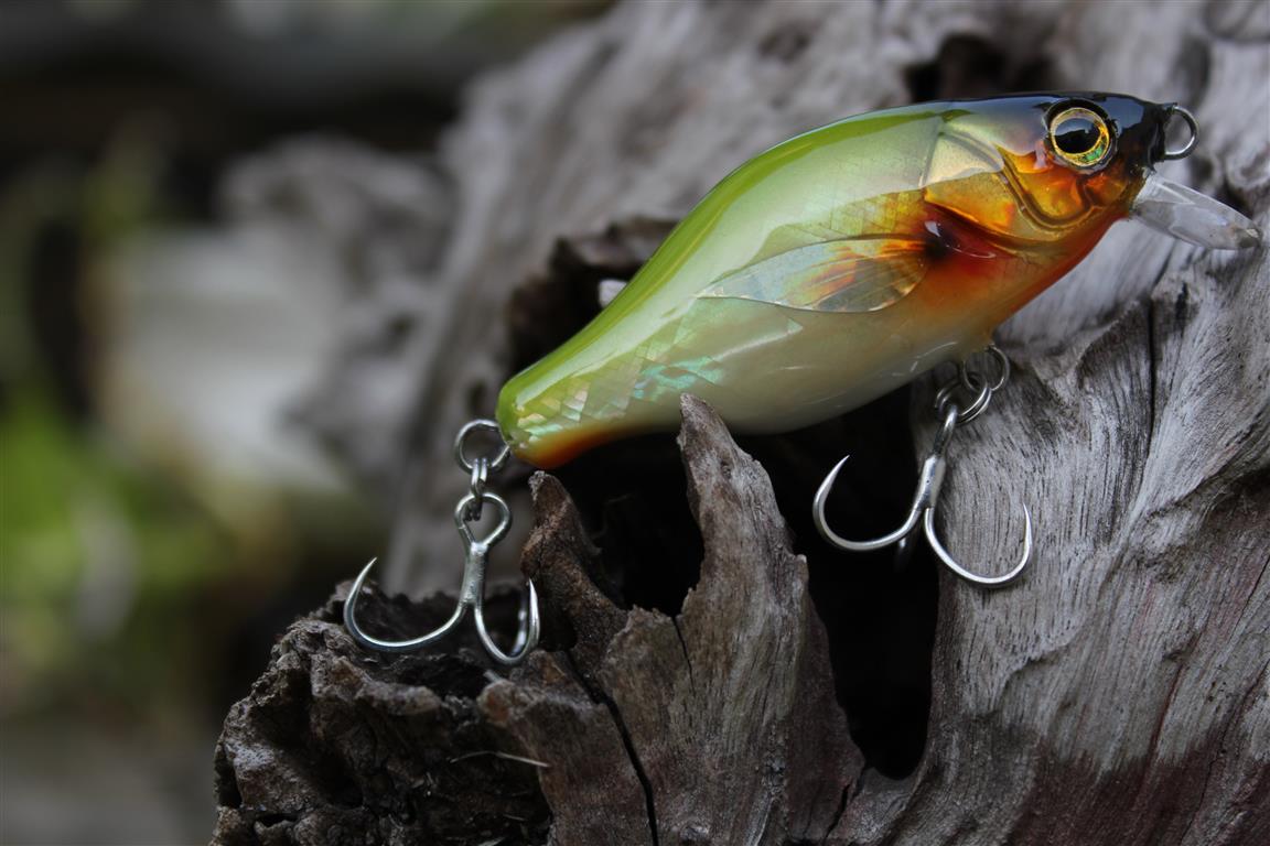 witbang EP Lures