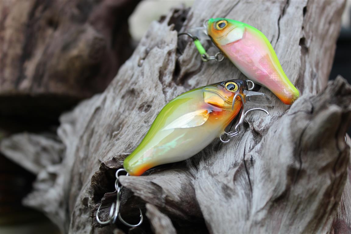 witbang EP Lures