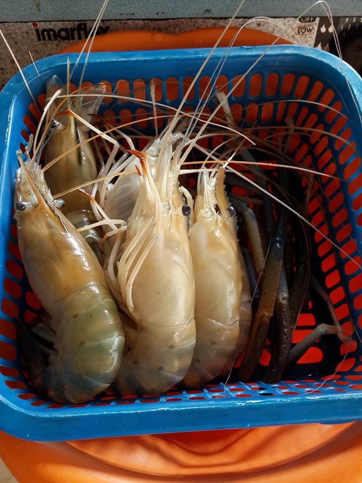 ก้อยกุ้งแม่น้ำครับ