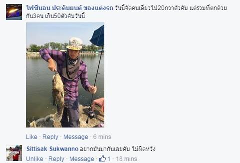 บ่อ VIP ลงกะพงน้ำเค็ม600 ตัวเป็นเพื่อนเก๋า 4-03-59