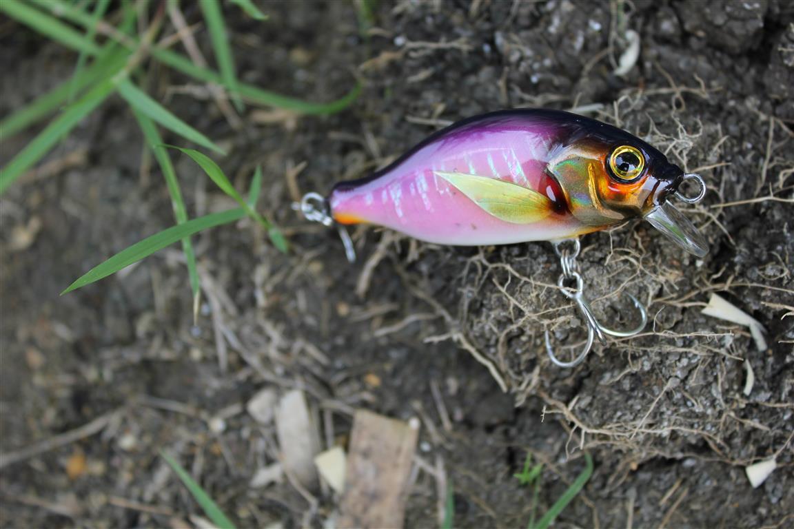 ทรงใหม่ by witbang lures