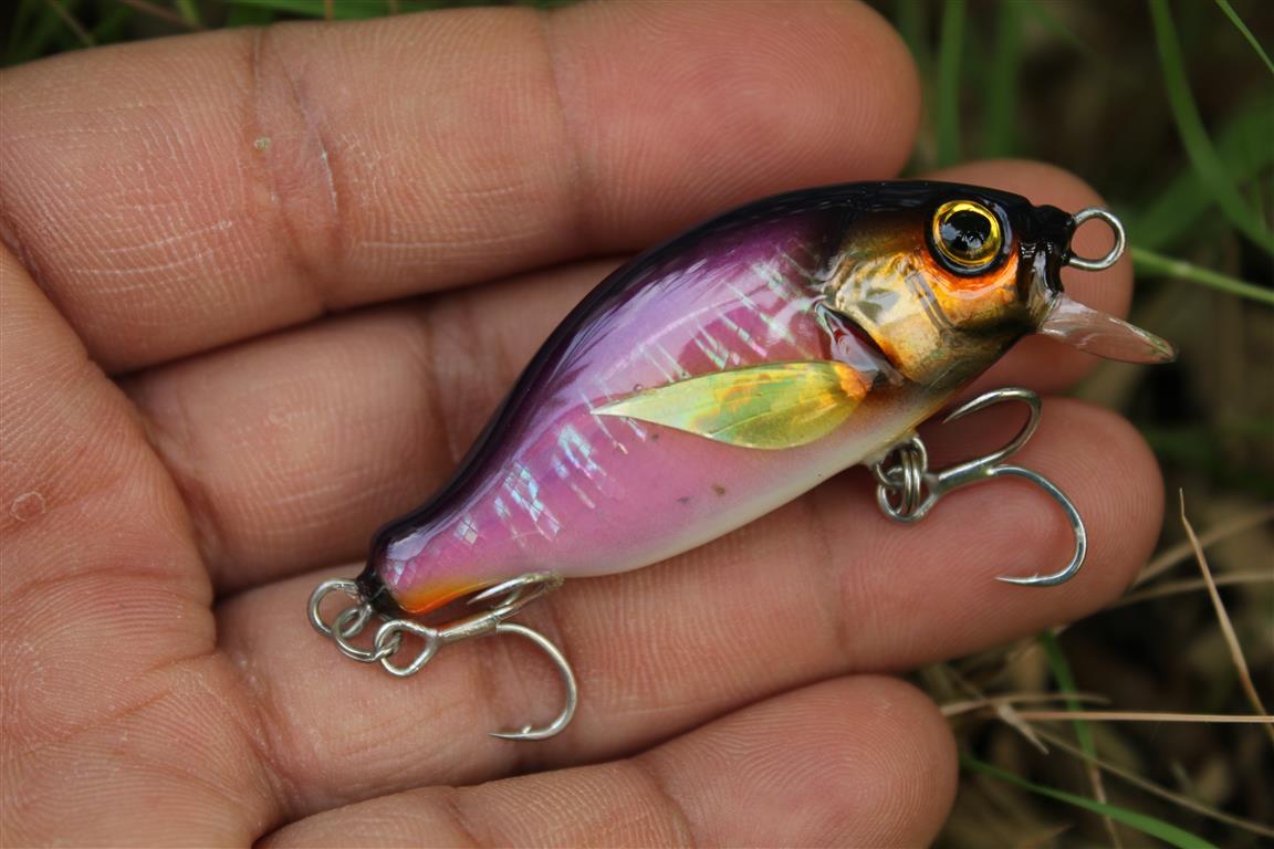 ทรงใหม่ by witbang lures