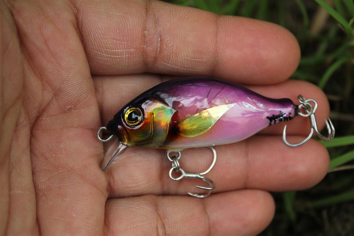 ทรงใหม่ by witbang lures