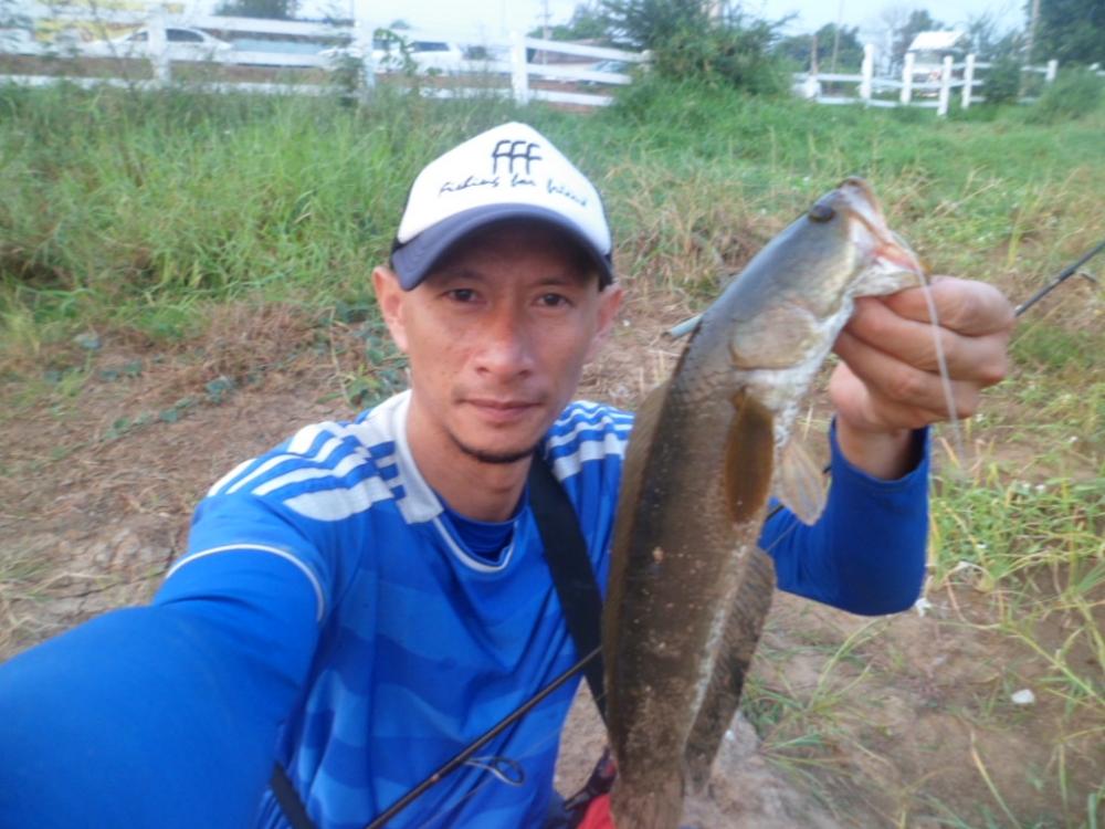 ช่อนข้างทาง
