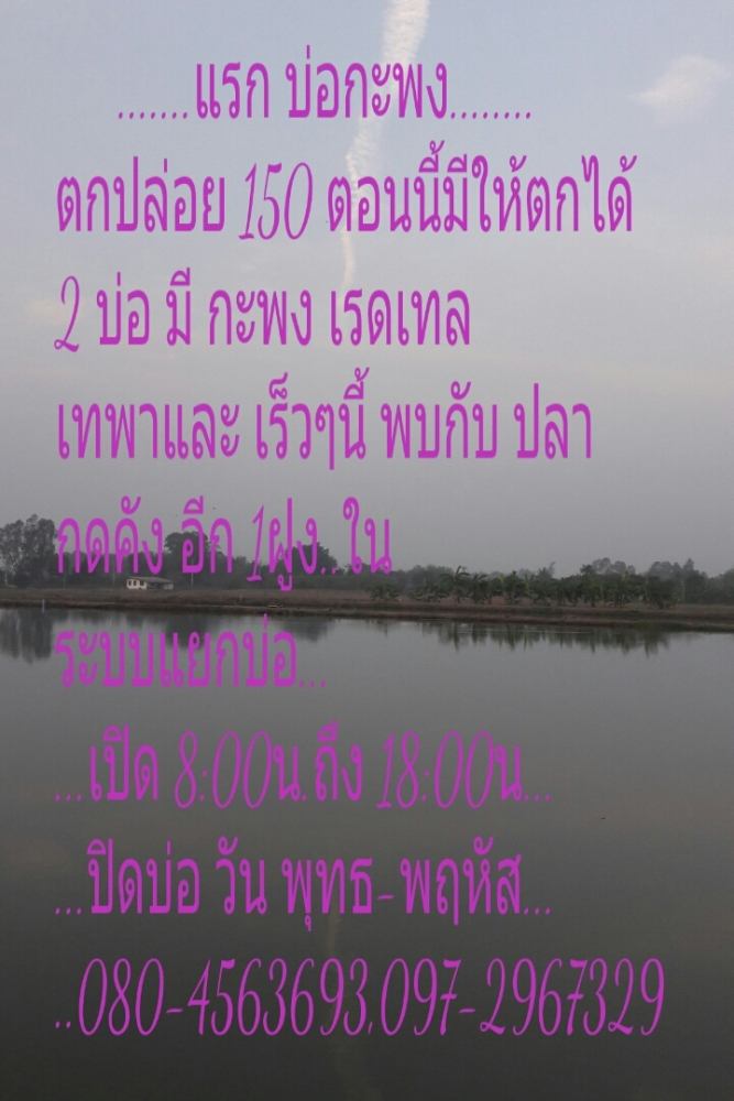 บ่อกะพง ตกปล่อย ...แรก บ่อกะพง