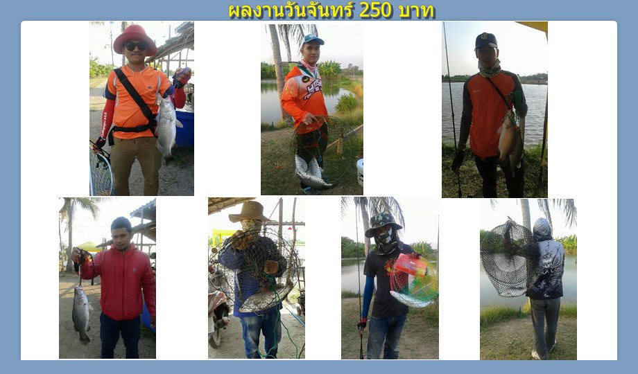 บ่อกะพงบุฟเฟต์ บึงเตยหนองจอก ลงปลาแล้ว 150 โล....