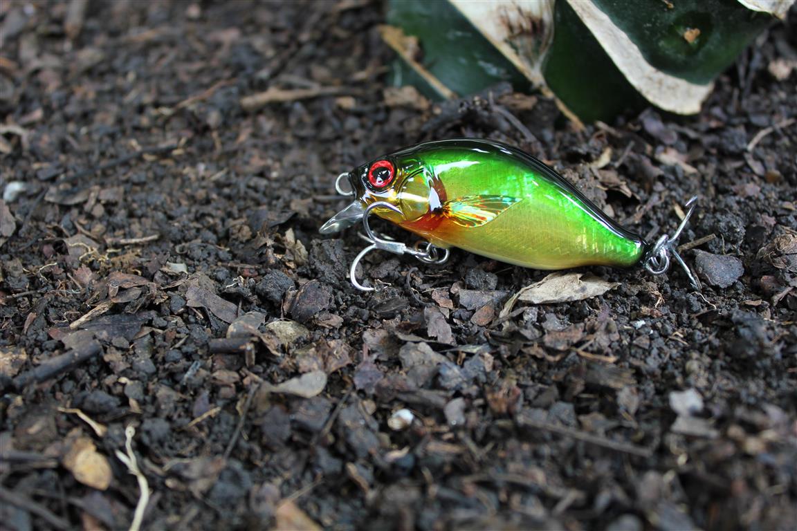 witbang lures Limited edition