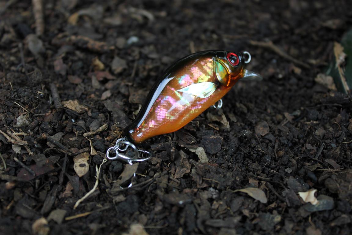 witbang lures Limited edition