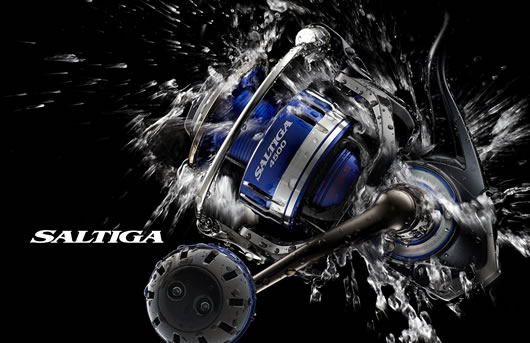 เซียนDaiwa Saltiga