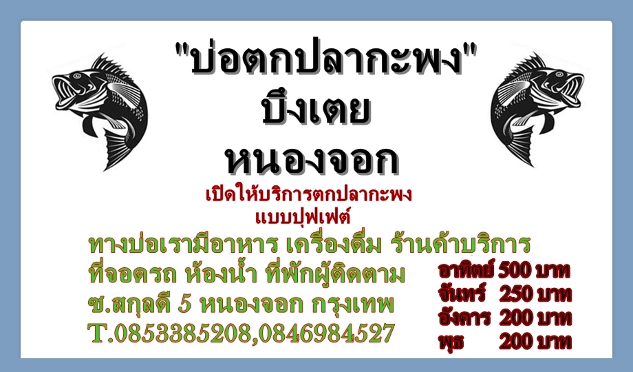 บ่อกะพงบุฟเฟต์ บึงเตยหนองจอก ลงปลาแล้ว 150 โล....