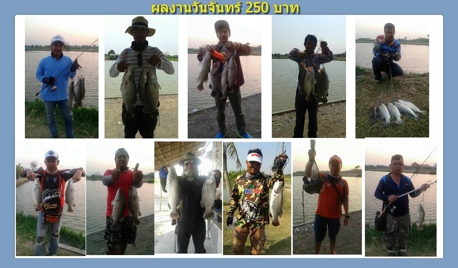 บ่อกะพงบุฟเฟต์ บึงเตยหนองจอก ลงปลาแล้ว 150 โล....