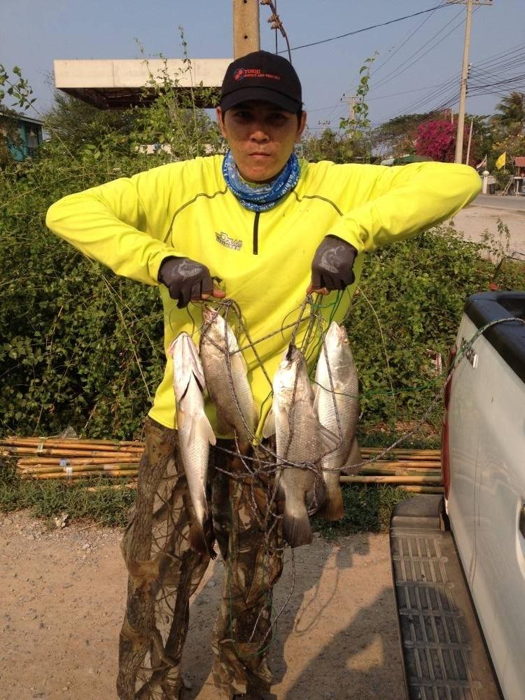 บ่อน้องบิว#30 บ่อ150ไร่ เหยื่อปลอมเท่านั้น 27/3/59 ล้างตา