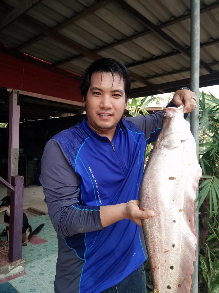เจ้าพระยา พาเพลิน