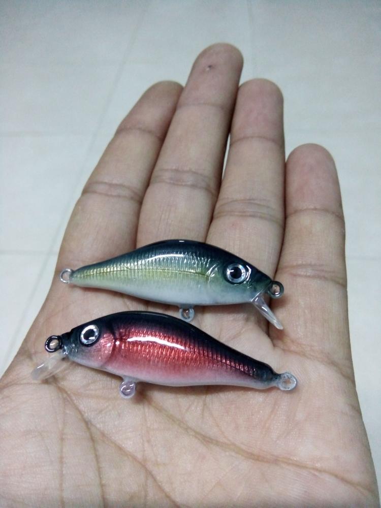 4.5 SP & SS custom color