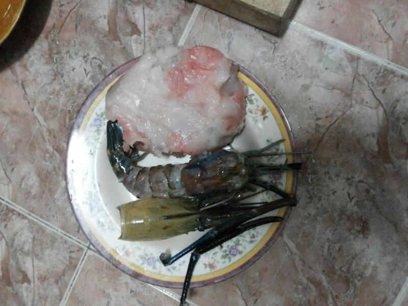 ผัดกระเพากราย.กุ้ง