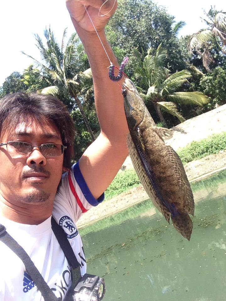 สายเล็กๆๆกับช่อนคลอง