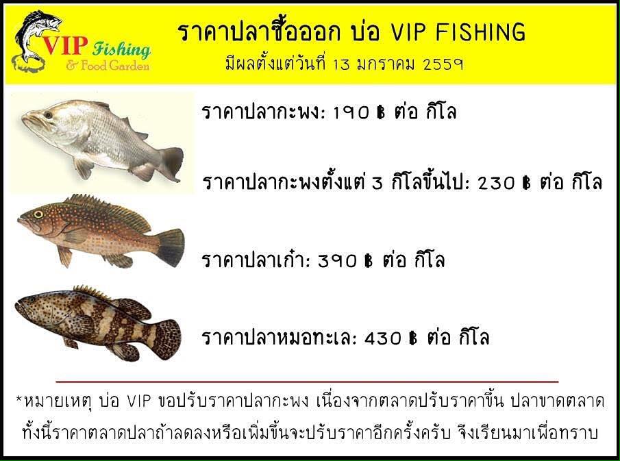 บ่อ VIP ลงปลา 600 ตัวพร้อมโปรสุดพิเศษสงกรานต์นี้เท่านั้น