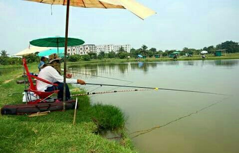 เบ็ดหลิว ตกหลิว
