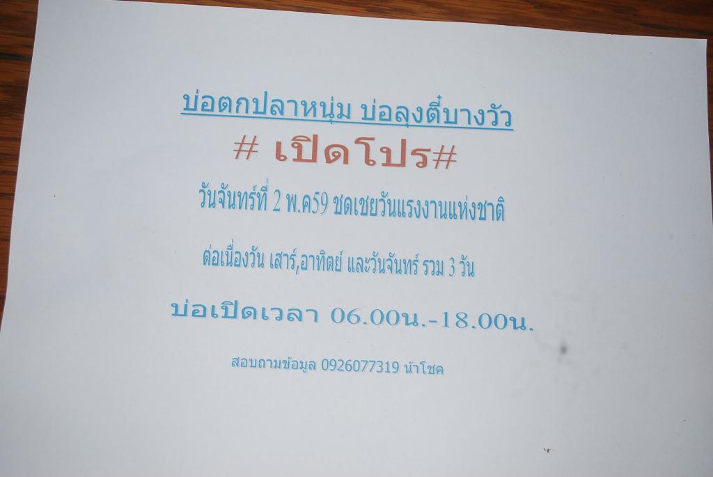 บ่อตกปลาหนุ่ม บ่อลุงตี๋บางวัว(บ่อปลารวม)เปิดโปร วันที่ 2 พ.ค 59 ชดเชยวันแรงงาน
