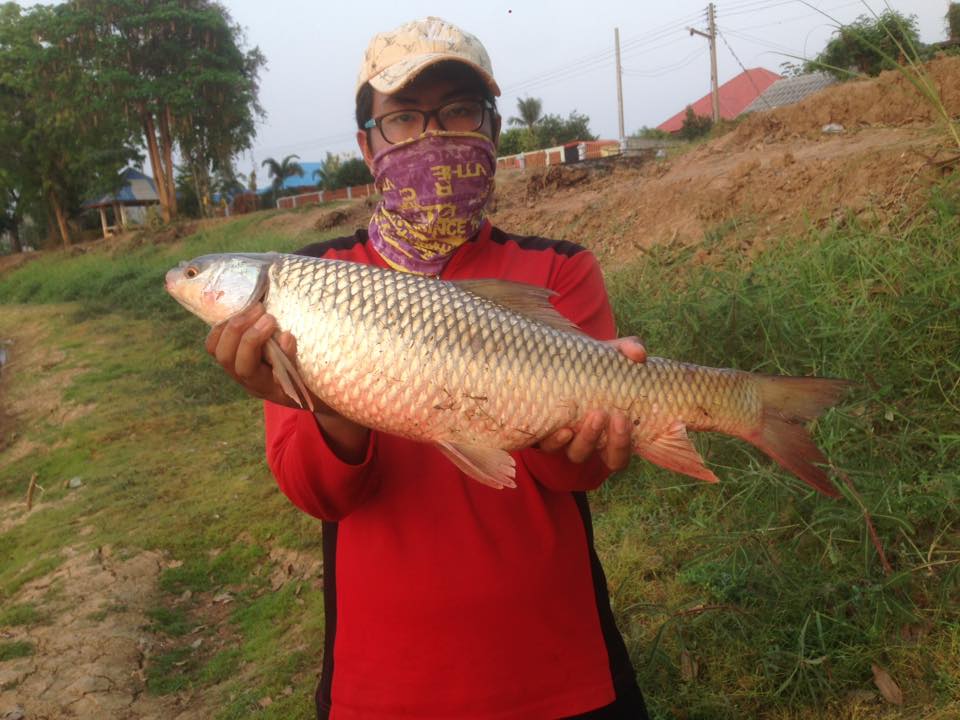 ทริปหน้าดิน ณ หนองขุดหล่ม สุโขทัย ครับน้าๆ