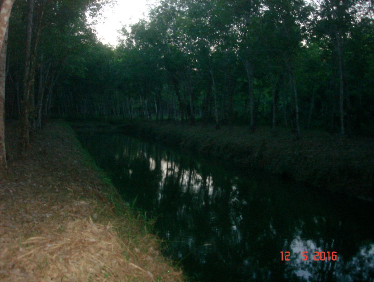 ที่พึ่งสุดท้ายที่หมายพึ่ง...