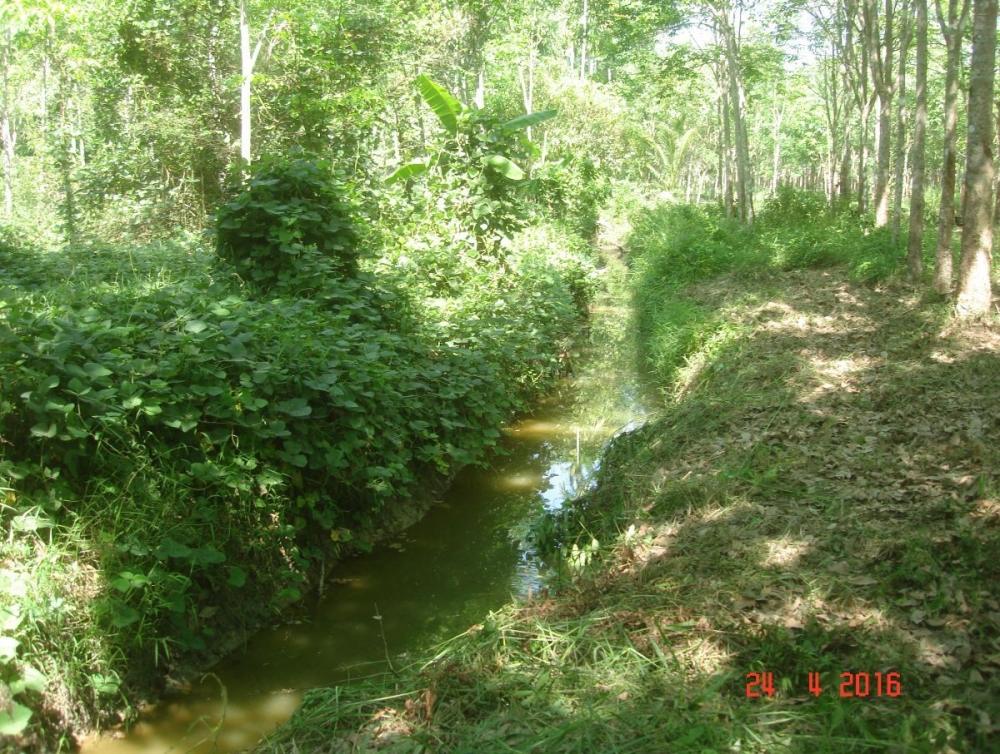 ที่พึ่งสุดท้ายที่หมายพึ่ง...