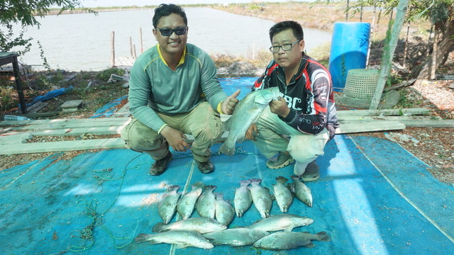 ซ่ำ บ่อน้องบิว#40บ่อ A เปิด วันอาทิตย์ 12 มิถุนายน 59   กี่คนก็จัด 