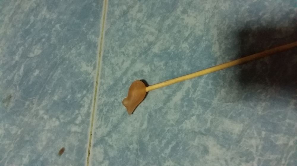 บล็อคโมลกบยาง