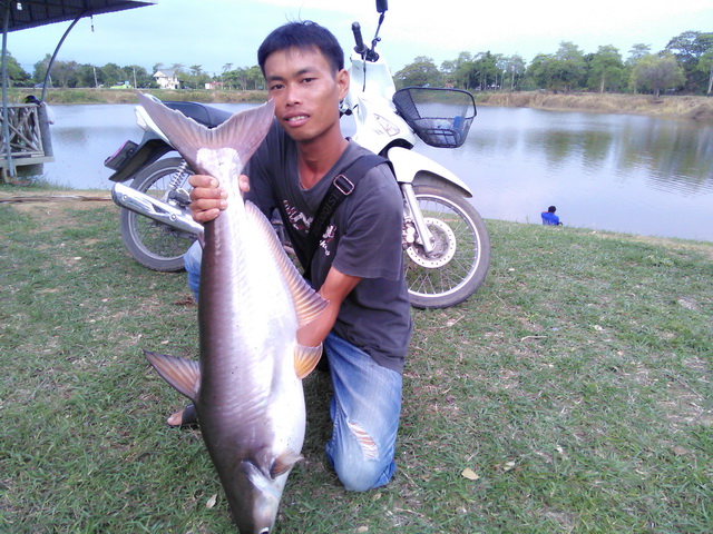 ตามไปดู