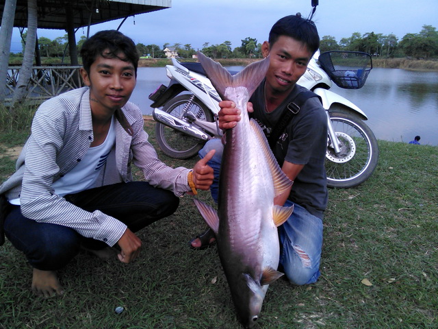 ตามไปดู