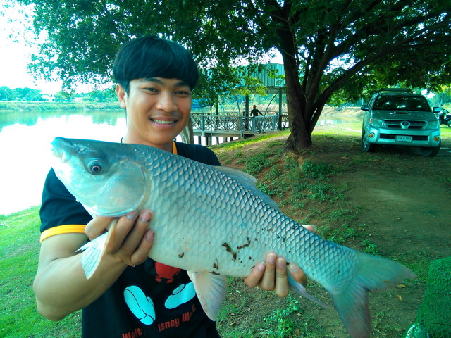 ตามไปดู
