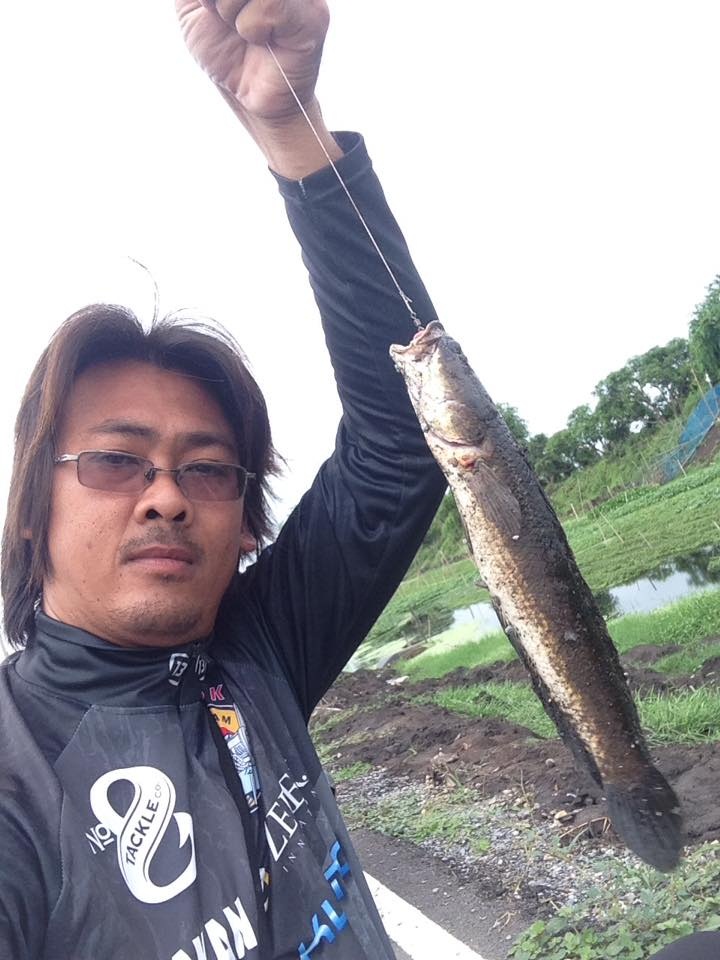 ช่อนข้างถนน