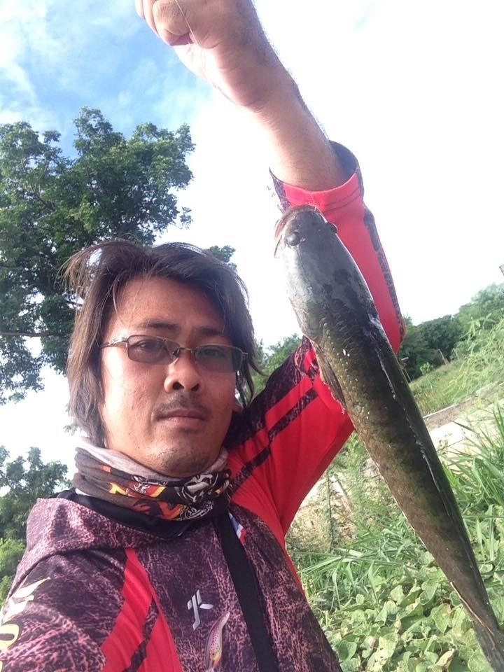 เก็บตกช่อนข้างทาง