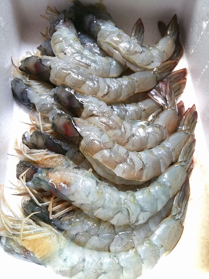 กุ้งผัดพริกสด