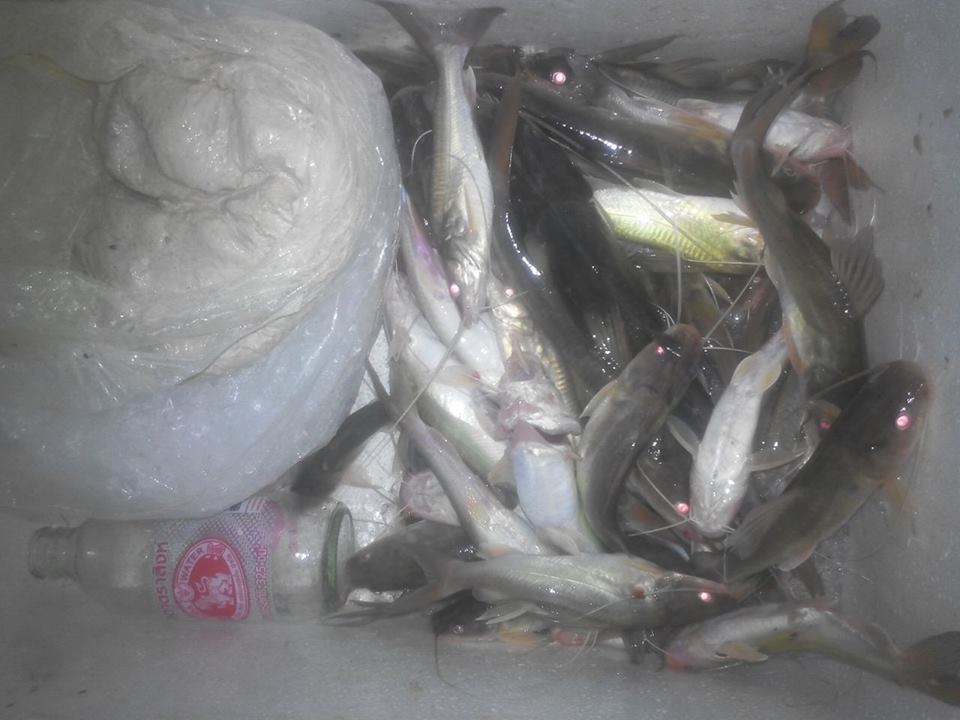 น้ำขึ้นต้องรีบตก 2