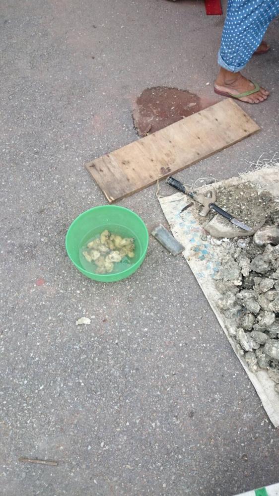 หอยนางรม หรือ หอยอีรม[1] มีชื่อสามัญ คือ Oyster หอยนางรม 
