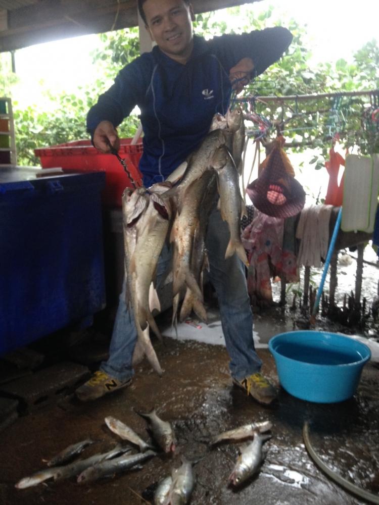 ไซส์แบบนี้เริ่มหายากขึ้นทุกวัน