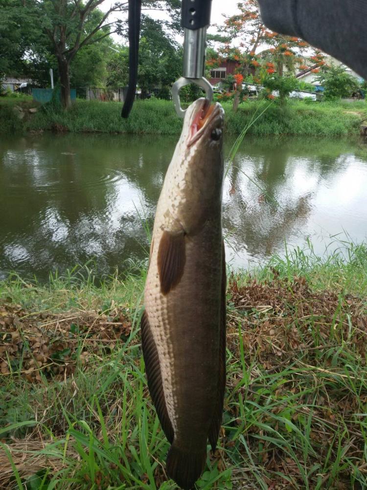 {B}ช่อนวันหยุดชิวๆ