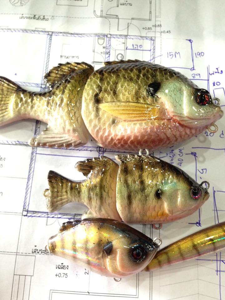 bluegill ของผม