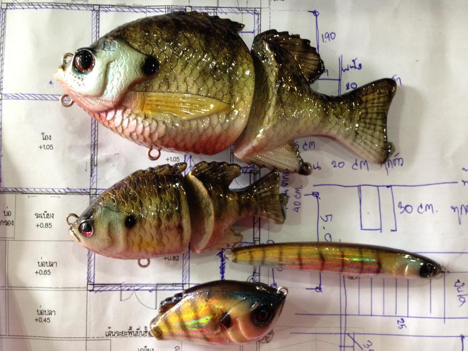 bluegill ของผม