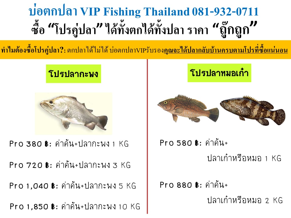 VIP จัดเต็มลงปลาฉลองรับเงินออกทั้งบ่อตกเล่นและบุฟเฟ่ต์