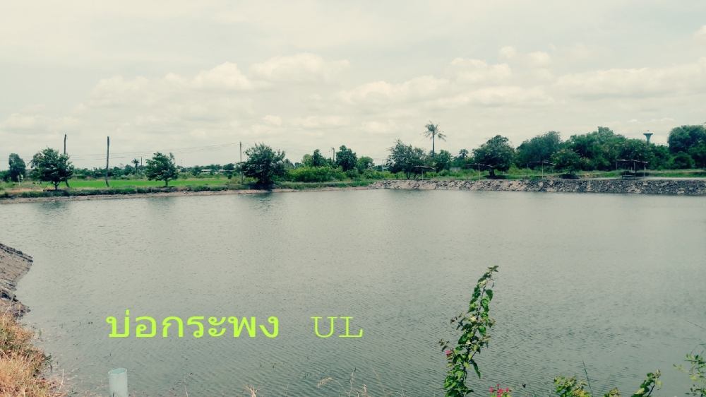 ...มือกระพง พบกัน หลัง20 สิงหาคมนี้...