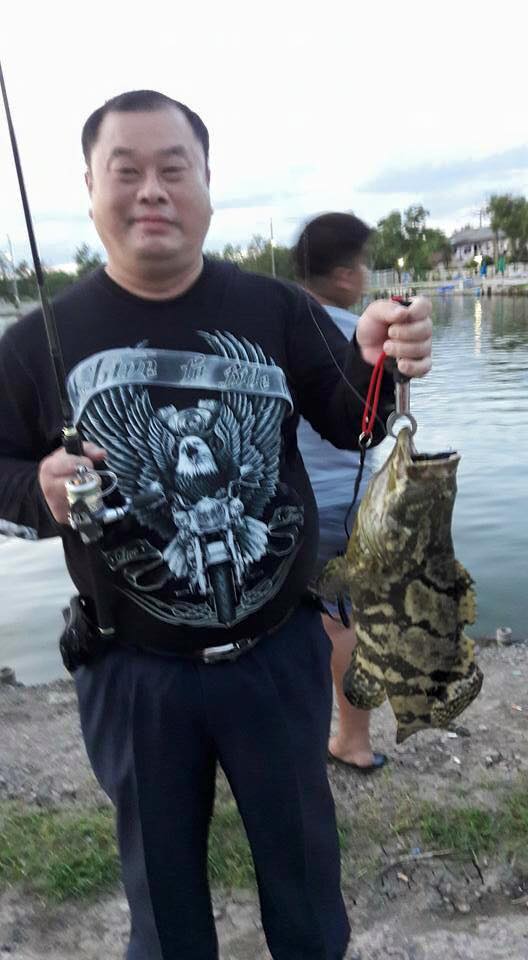 เก๋าฝูงใหญ่445ตัวที่บ่อ VIP Fishing 