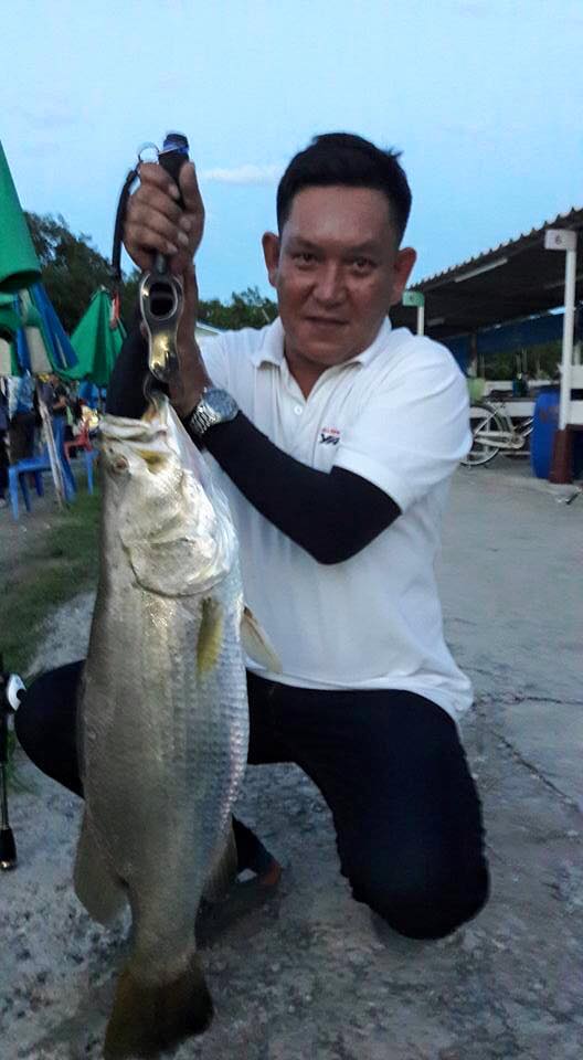 เก๋าฝูงใหญ่445ตัวที่บ่อ VIP Fishing 