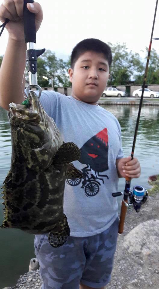 เก๋าฝูงใหญ่445ตัวที่บ่อ VIP Fishing 