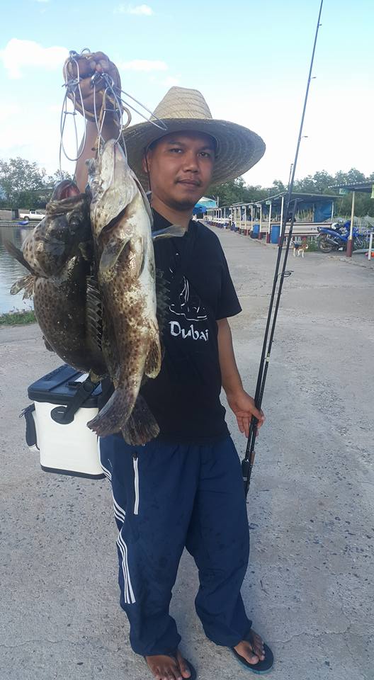 เก๋าฝูงใหญ่445ตัวที่บ่อ VIP Fishing 