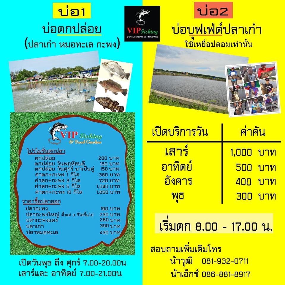 เก๋าฝูงใหญ่445ตัวที่บ่อ VIP Fishing 