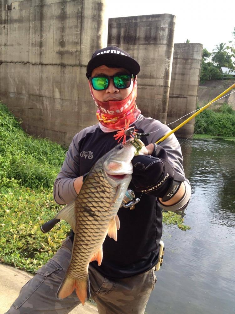 แค่นี้เองที่ต้องการ catch & release 