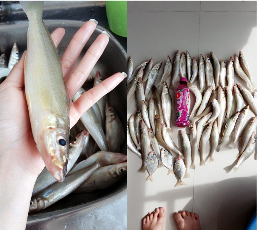 ทีเด็ด เห็ดโคน